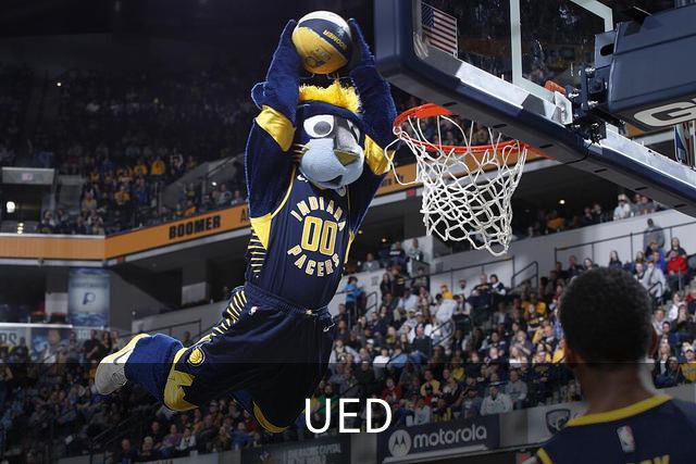 UED公司介绍图